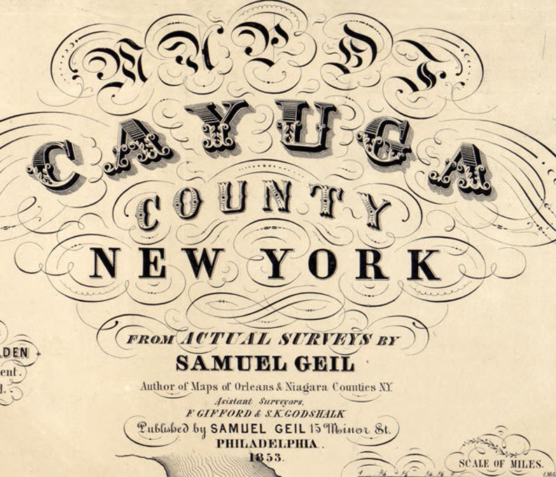 1853 Map of Cayuga County New York From Actual Surveys Auburn Etsy