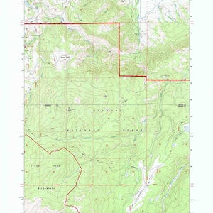 Carte topographique 1993 de Little Goose Peak, Wyoming, WY, forêt Bighorn