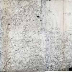 Mapa de 1860 de la genealogía de apellidos de Virginia del condado de Amelia