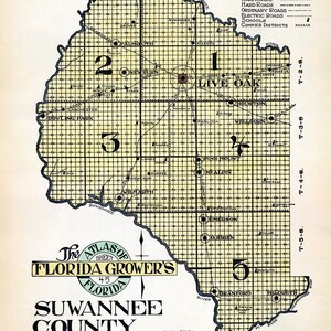 1914 Kaart van Suwannee County Florida Live Oak