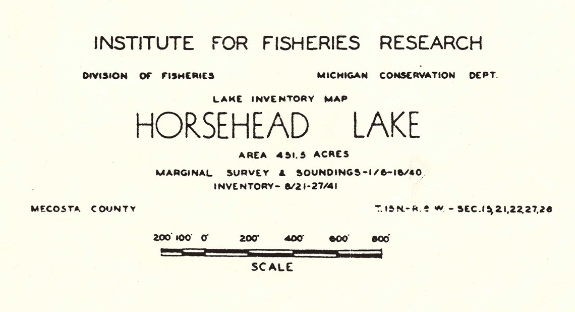 1941 Map of Horsehead Lake Mecosta County Michigan Etsy