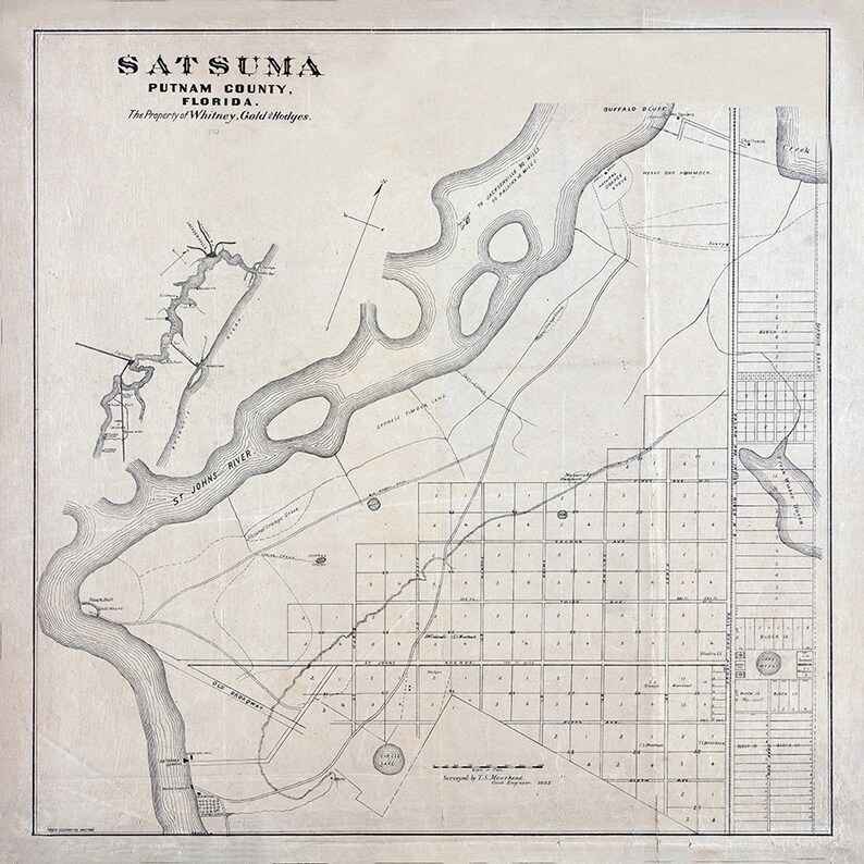 1882 Map of Satsuma Putnam County Florida Saint Johns River Etsy