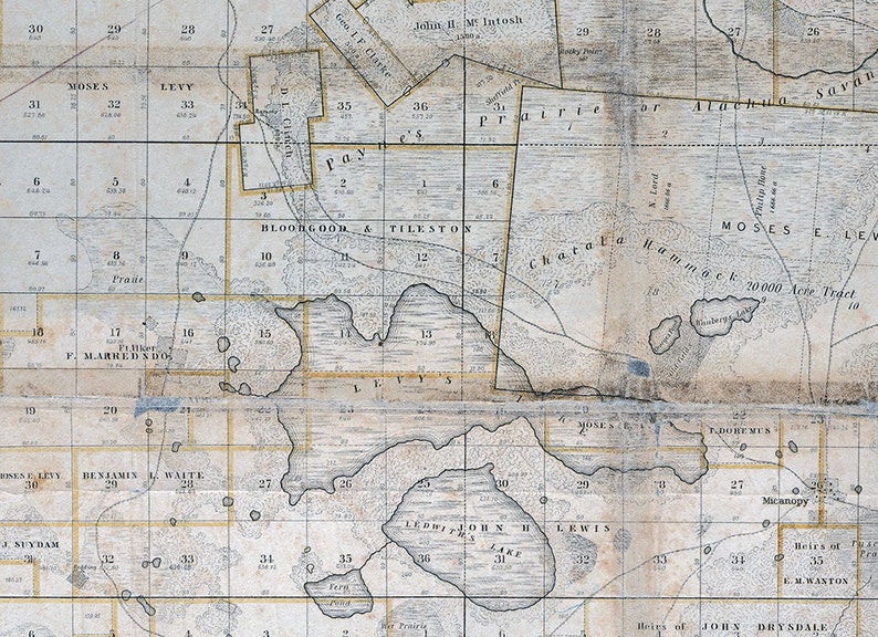 1846 Map of Gainesville Florida Previously the Arredondo Grant Etsy
