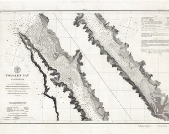 1878 Nautical Chart of Tomales Bay California