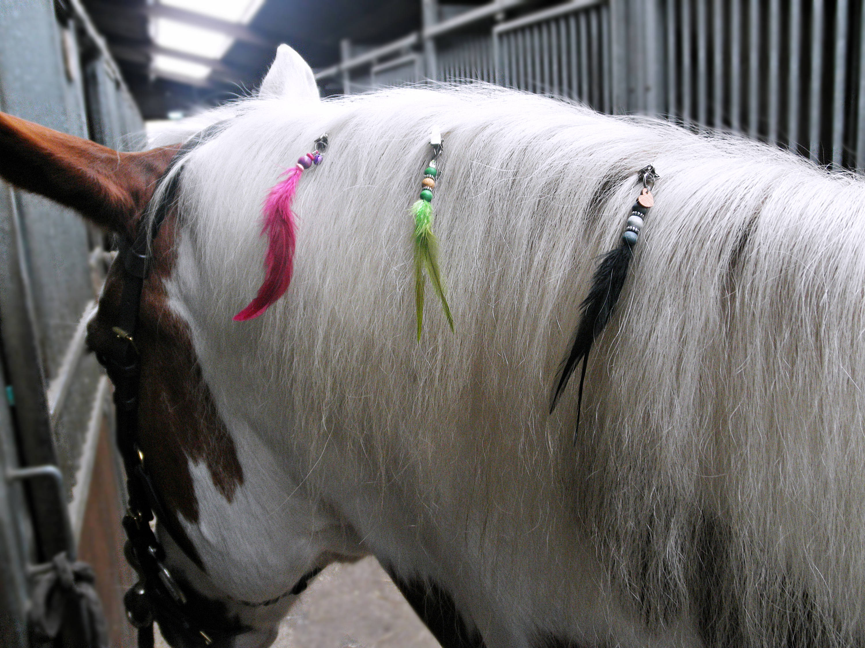 Horse bridle charm Feather charm Horse Jewelry Horse halter Etsy