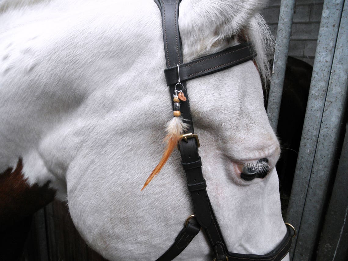 Horse Bridle Charm With Feathers Wooden Love Charm Horse Etsy