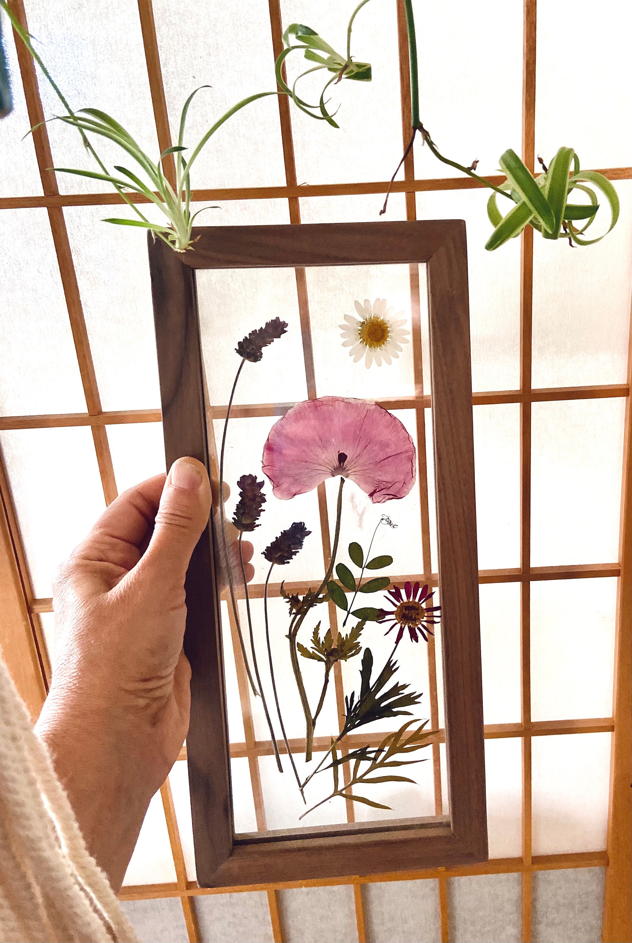 Framed botanicals Pressed flowers frame Botanical Art Etsy