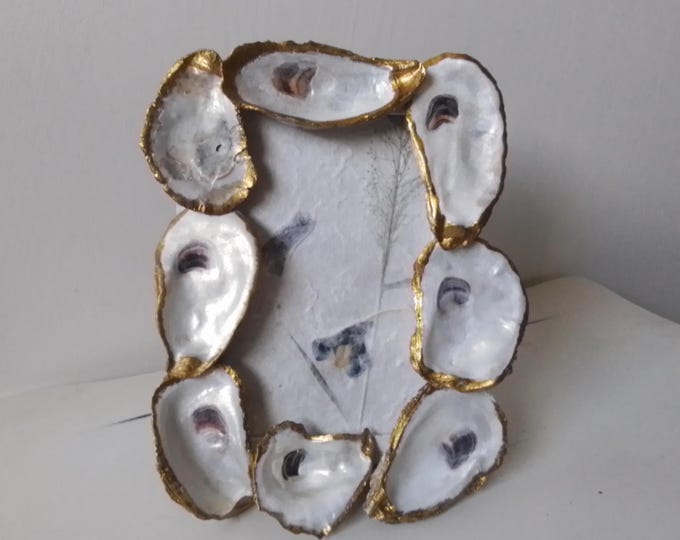 Gilded Edge Natural Oyster Shell, Vertical or Horizontal, Hanging or Tabletop 4 Inch X 6 Inch Frame with Glass