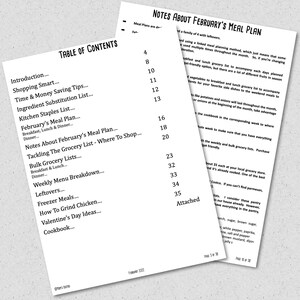 Printable Budget Monthly & Weekly Meal Planning Kit w/ Grocery Lists and Recipes BONUS Freezer Meal Planner Meal Planner Budget Plan image 3