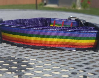 LGBT gay pride rainbow dog collar