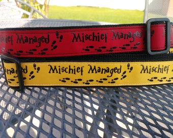 Harry Potter inspired dog collar