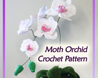 Moth Orchid Crochet Pattern