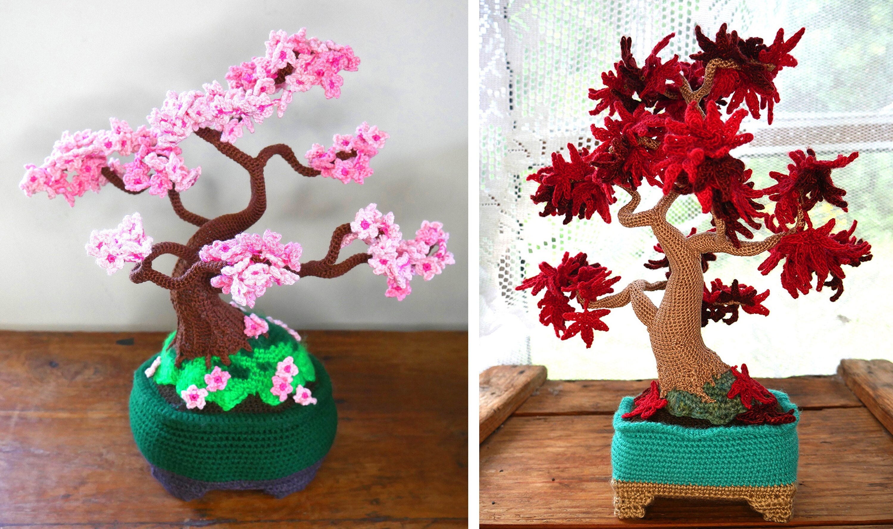 Gehkelter bonsai: Kirschblte "sakura" oder japanischer Ahorn Bonsai  handgemachter Baum - Etsy sterreich
