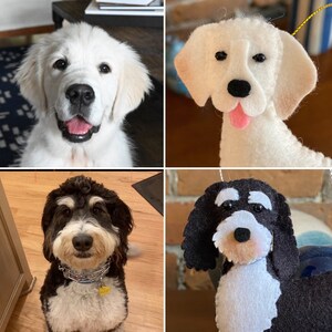 Pode incluir: Uma colagem de quatro imagens com c&atilde;es. Canto superior esquerdo: um filhote de golden retriever com uma express&atilde;o feliz. Canto superior direito: um enfeite de cachorro de feltro branco com uma l&iacute;ngua rosa. Canto inferior esquerdo: um c&atilde;o preto e branco usando uma coleira. Canto inferior direito: um enfeite de cachorro de feltro preto e branco.
