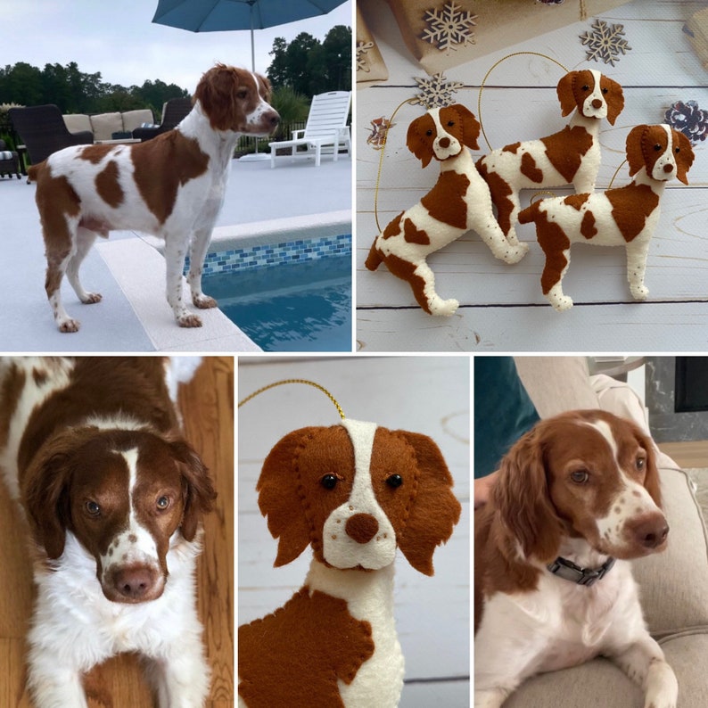 Pode incluir: Uma colagem de imagens com Brittany Spaniels. Uma imagem mostra um c&atilde;o real perto de uma piscina. Outras imagens mostram enfeites de c&atilde;es de feltro em marrom e branco. Um enfeite est&aacute; pendurado com um fio dourado. H&aacute; tamb&eacute;m um close-up do rosto de um c&atilde;o.