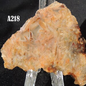 May include: A218, a light brown agate slice with a white and orange pattern. The agate has a crystalline texture and is displayed on a white stand.