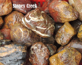 Stoney Creek Jasper from California Bulk lot Large or Medium flat rate box full Lapidary Free Shipping