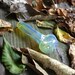 Color Changing Glass Smoking Pipe/Smoking Accessories/Glass Hand Pipe/Color Changing Pipe/Glass Bowl/Smoking Bowl/Glass Pipes/Fumed Pipes 