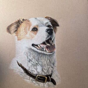 Custom Pet Portrait