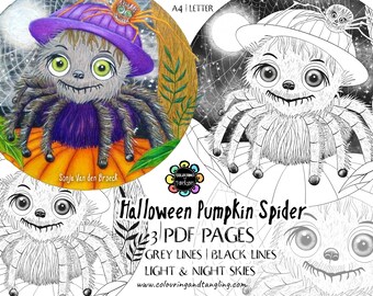 Halloween pumpkin spider coloring page,Halloween coloring page,insect,printable coloring page,spider coloring page,PDF coloring page