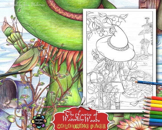 47 Colouring Book Adults Best Picture HD 47 Colouring Book Adults Best Picture HD