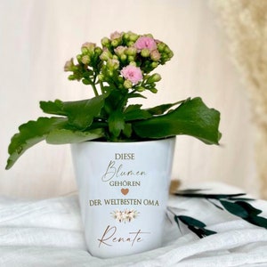 Flowerpot Personalized Gift Grandma Birthday Mother's Day Gift "These flowers belong to the world's best grandma" Thank you gift