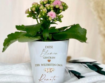 Personalized flower pot gift for Grandma's birthday or Mother's Day, "These flowers belong to the world's best grandma," thank you gift