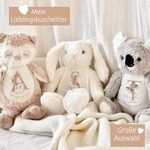 Baby Geburt Geschenk Kuscheltier personalisiert Mädchen Geburt Junge Taufe Geschenk Babygeschenk Geburtskissen Plüschtier Geburtsgeschenk