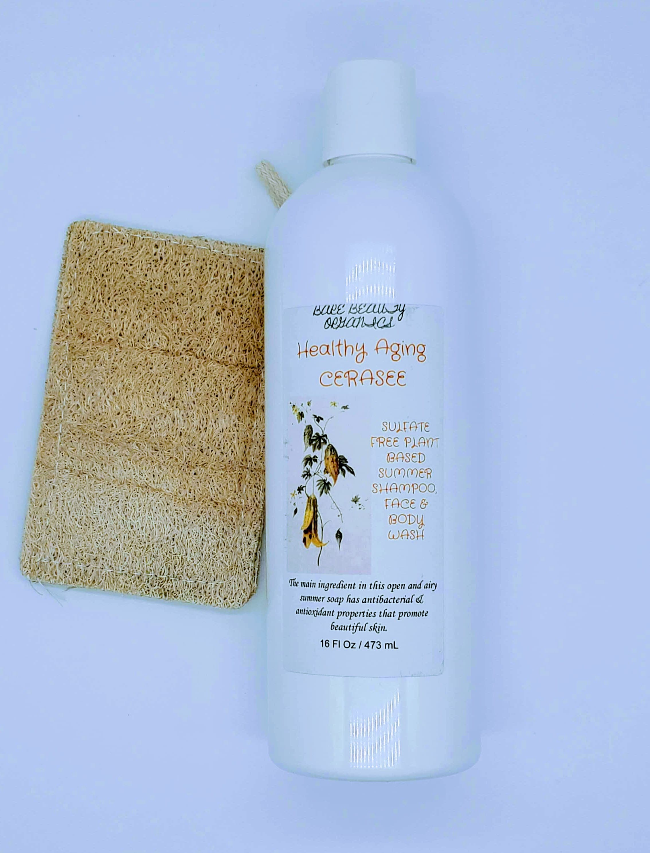 Natural Loofah Exfoliating Sponge Etsy