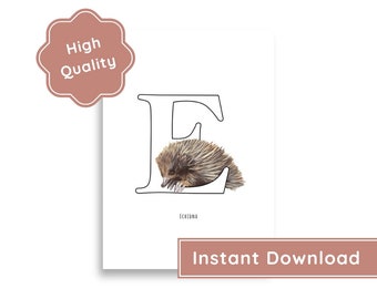 Echidna 'E' Poster - Digital Download