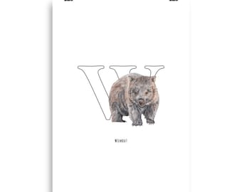 Wombat 'W' Poster - Fine Art Print
