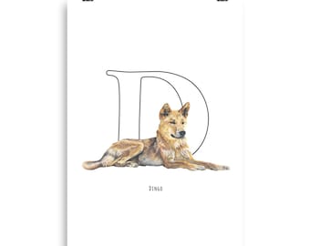 Dingo 'D' Poster - Fine Art Print