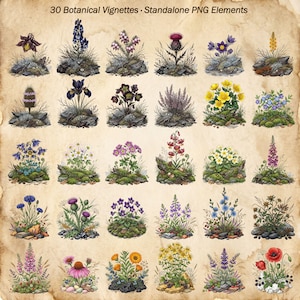 May include: A collection of 30 botanical vignettes titled 30 Botanical Vignettes - Standalone PNG Elements. The image displays various colorful flowers, including poppies, thistles, and daisies, each growing from small patches of moss and rocks.
