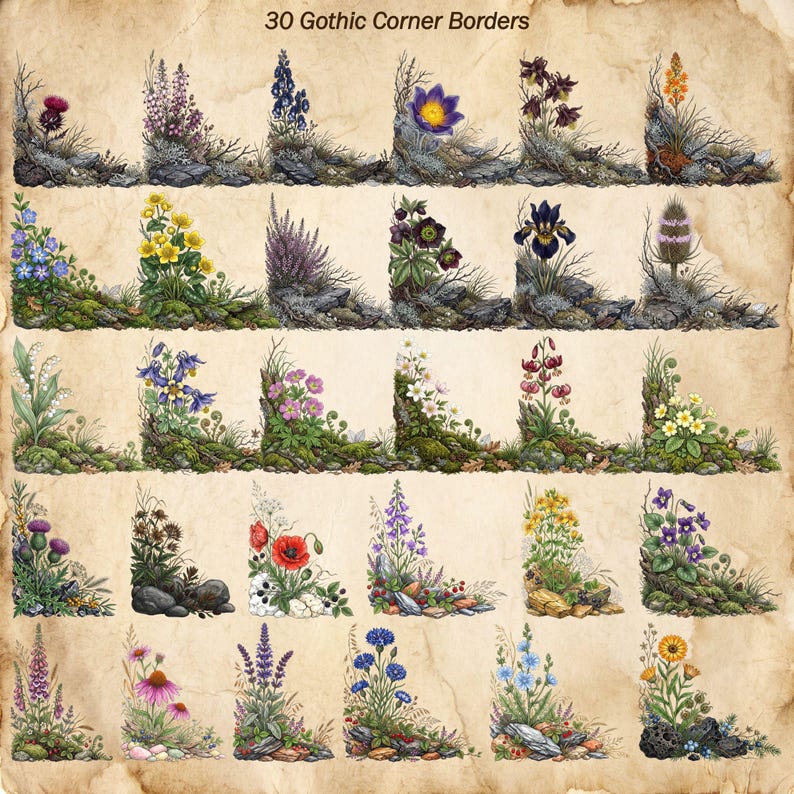 May include: A collection of 30 Gothic Corner Borders featuring detailed botanical illustrations of various wildflowers, grasses, and mossy rocks arranged in corner shapes on a textured, aged parchment-style background with the text 30 Gothic Corner Borders.