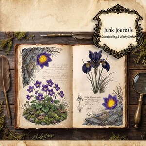 May include: An open book with aged paper pages featuring detailed botanical illustrations of purple flowers, green moss, and handwritten script. A decorative frame in the top right corner contains the text Junk Journals Scrapbooking & Witchy Crafts.