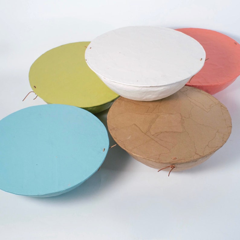 Puede incluir: Cinco cuencos de papel redondos en diferentes colores: azul claro, verde, marr&oacute;n, blanco y rosa. Los cuencos est&aacute;n apilados uno encima del otro.