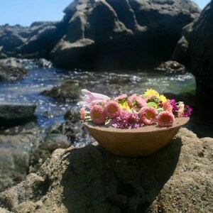 Pu&ograve; includere: Una ciotola in terracotta piena di un bouquet colorato di fiori rosa, gialli e viola. La ciotola &egrave; appoggiata su una superficie rocciosa vicino a un specchio d'acqua.