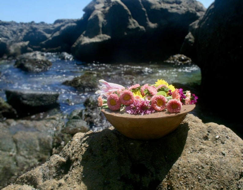 Pu&ograve; includere: Una ciotola in terracotta piena di un bouquet colorato di fiori rosa, gialli e viola. La ciotola &egrave; appoggiata su una superficie rocciosa vicino a un specchio d'acqua.
