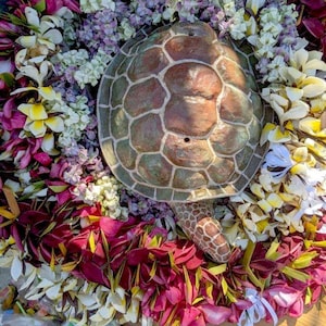 Painted Turtle Urn custom urn, biodegradable, cremation, funeral, turtle urn, sea turtle, ocean urn, ocean burial urn image 6