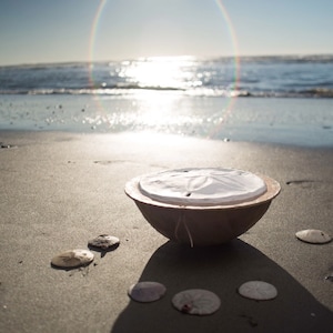 Biodegradable Sand Dollar Urn -  cremation, funeral, handmade urn