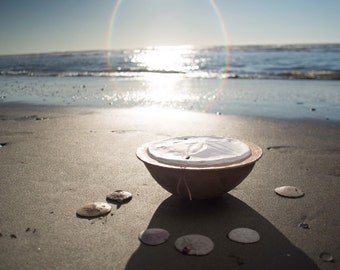 Biodegradable Sand Dollar Urn -  cremation, funeral, handmade urn