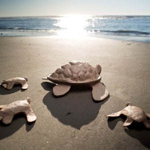 HAWAII & INTERNATIONAL Large Turtle Urn - biodegradable urn, cremation, ocean burial urn, urn for ocean, water burial urn