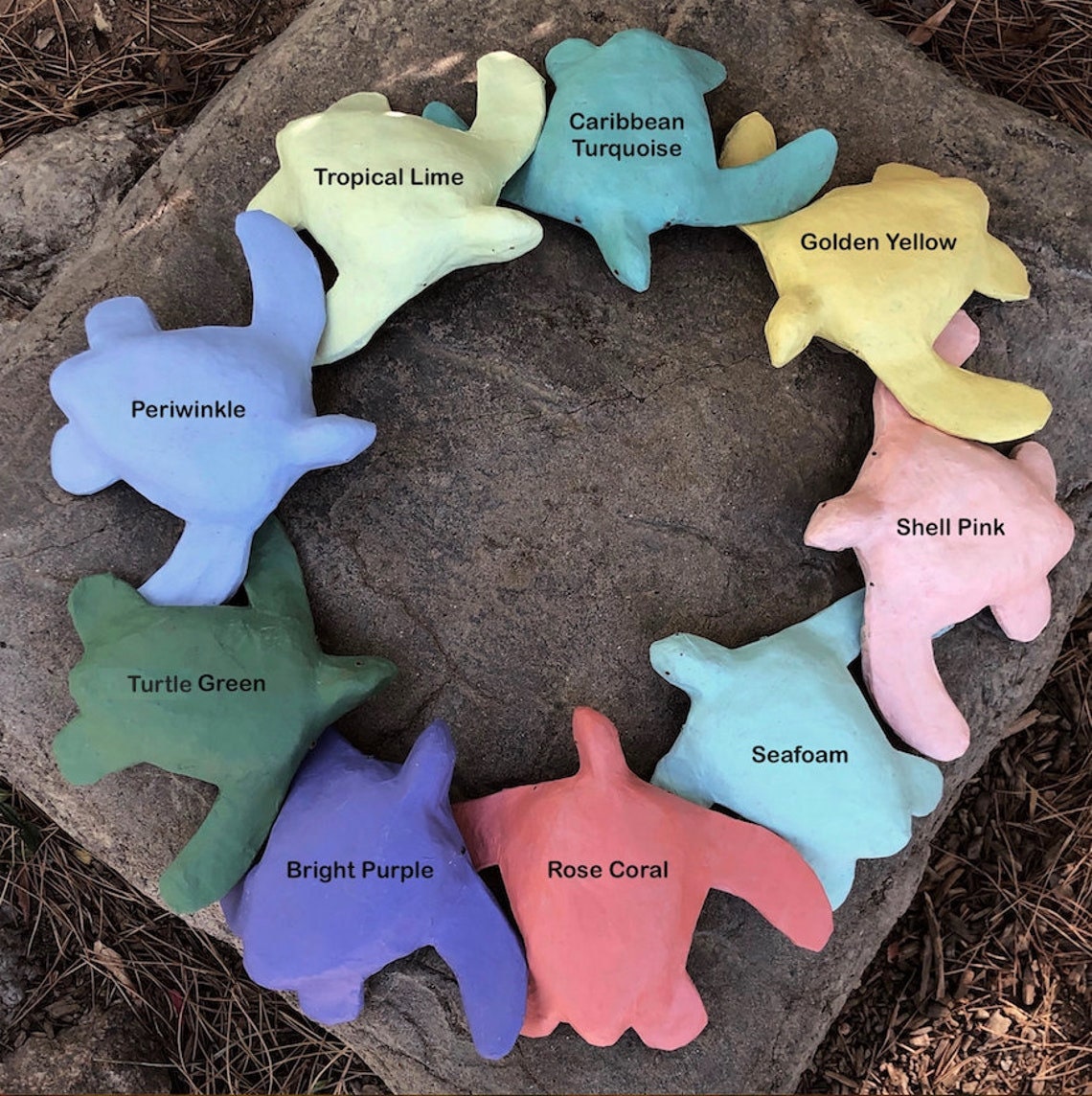 Grande Urne De Tortue 0 Livres Urne Biodegradable Etsy France