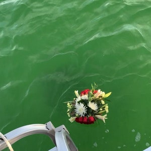 Pu&ograve; includere: Un mazzo di fiori bianchi e rossi galleggia nell'acqua verde. I fiori sono disposti in forma circolare e sono circondati da foglie verdi.