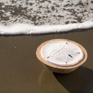 Może przedstawiać: Biały dolar piaskowy z pięcioramiennym wzorem gwiazdy jest prezentowany na drewnianej podstawie. Dolar piaskowy leży na piaszczystej plaży z falą białej piany w tle.