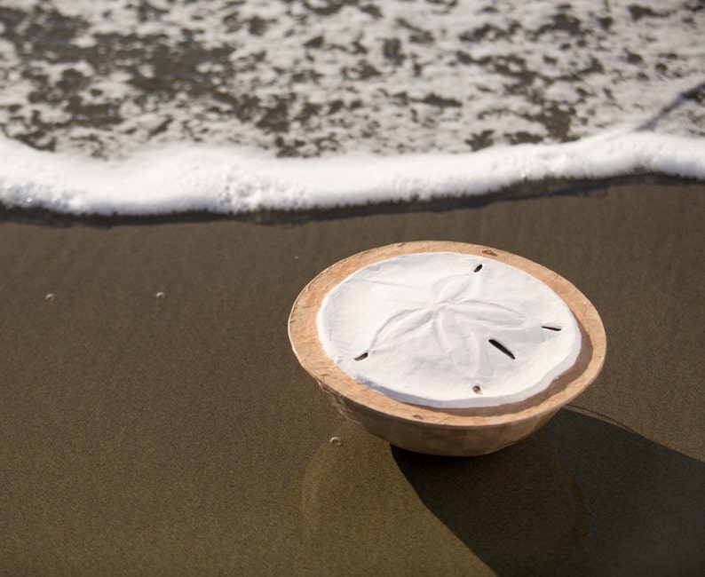 Może przedstawiać: Biały dolar piaskowy z pięcioramiennym wzorem gwiazdy jest prezentowany na drewnianej podstawie. Dolar piaskowy leży na piaszczystej plaży z falą białej piany w tle.