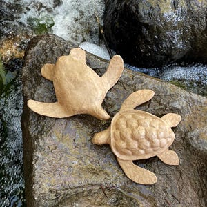 May include: Two handmade paper turtles in shades of tan rest on a wet, dark gray rock. One turtle is flat, while the other has a textured shell. The background features flowing water and dark rocks, creating a natural scene.