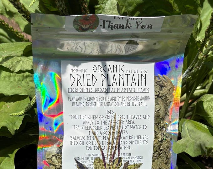 Organic Dried Plantain
