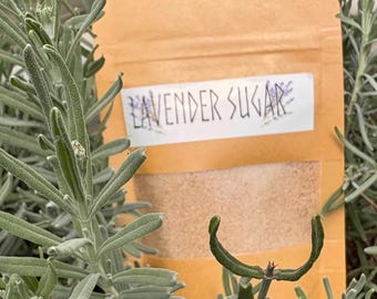 Organic Infused Lavender Sugar