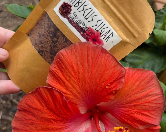 Organic Hibiscus Flower Infused Sugar